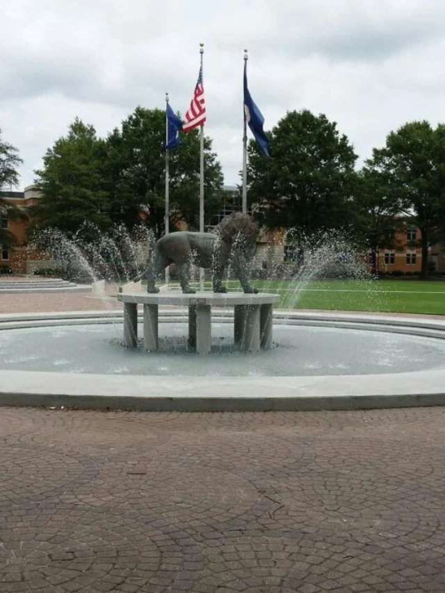 A quiet campus morning shattered by sudden gunfire. Why?